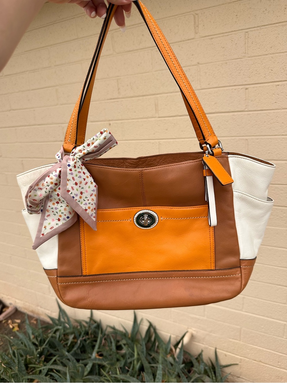 Coach tote park leather color block Carrie tote